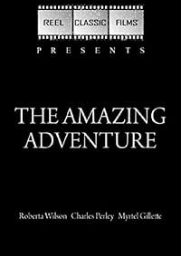 The Amazing Adventure poster
