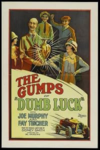 Dumb Luck poster