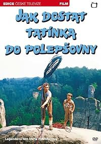 Jak dostat tatínka do polepsovny poster