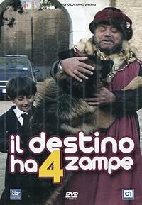 Il destino ha 4 zampe poster