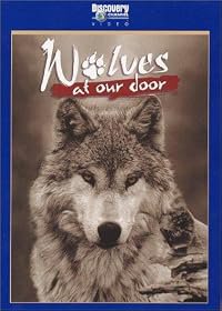 Wolves at Our Door poster