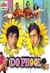 Do Phool poster