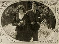 The Hole in the Garden Wall poster