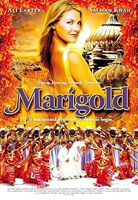 Marigold poster