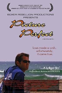 Picture Perfect poster