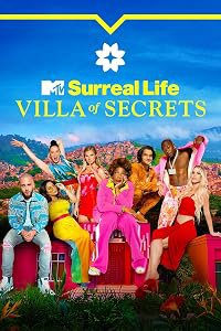 The Surreal Life poster