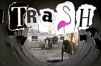 Trash poster