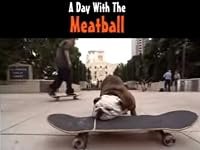A Day with the Meatball poster