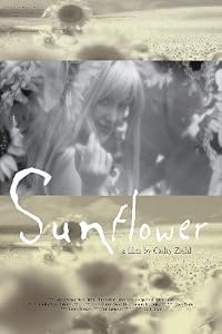 Sunflower poster