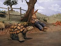 The Story of 'The Tortoise &amp; the Hare' poster