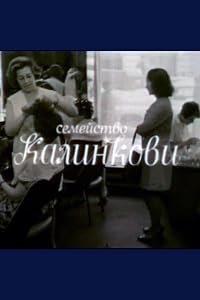Semeystvo Kalinkovi poster