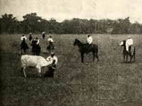 The 'Diamond S' Ranch poster