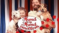 Hund og hund imellem poster