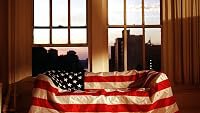 New Scenes from America poster