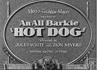 Hot Dog poster