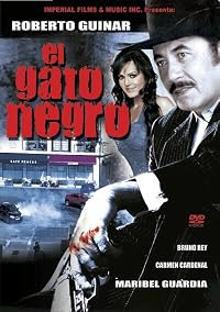 El gato negro poster