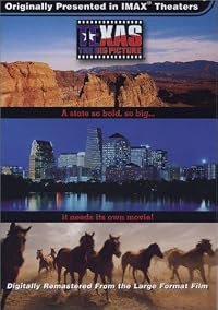 Texas: The Big Picture poster
