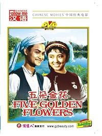 Wu duo Jinhua poster