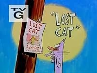 Lost Cat poster