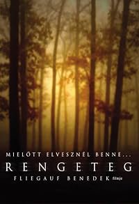 Rengeteg poster