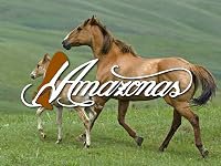 Las amazonas poster