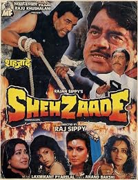 Shehzaade poster