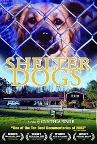 Shelter Dogs poster