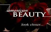 American Beauty: Look Closer... poster