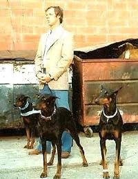 Alex and the Doberman Gang poster