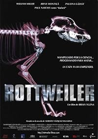 Rottweiler poster