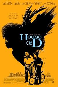 House of D poster