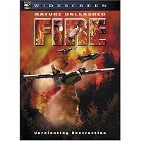 Nature Unleashed: Fire poster