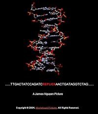 Replica poster