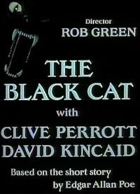The Black Cat poster