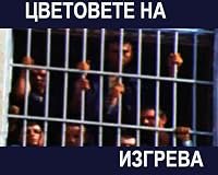 Tzvetovete na izgreva poster