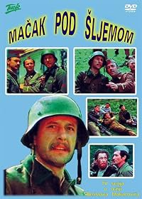 Macak pod sljemom poster