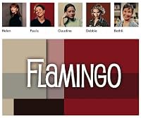 Flamingo poster