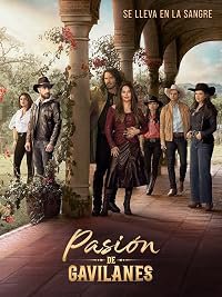 Pasión de gavilanes poster