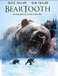 Beartooth poster