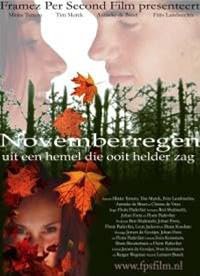 Novemberregen poster