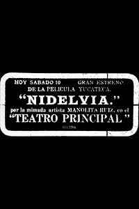 Nidelvia poster