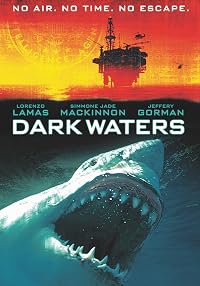Dark Waters poster