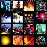 Bon Jovi: One Last Wild Night poster