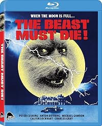 Directing the Beast poster