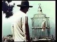 William Buys a Parrot poster