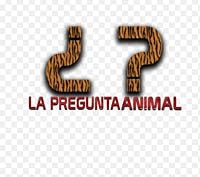 La pregunta animal poster