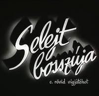 A selejt bosszúja poster