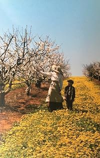 The Cherry Orchard poster