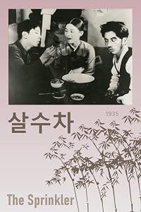 Salsucha poster
