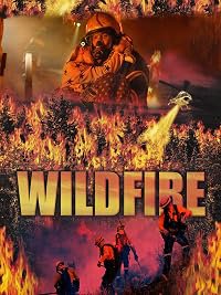 Wild Fire poster